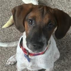 Ezra