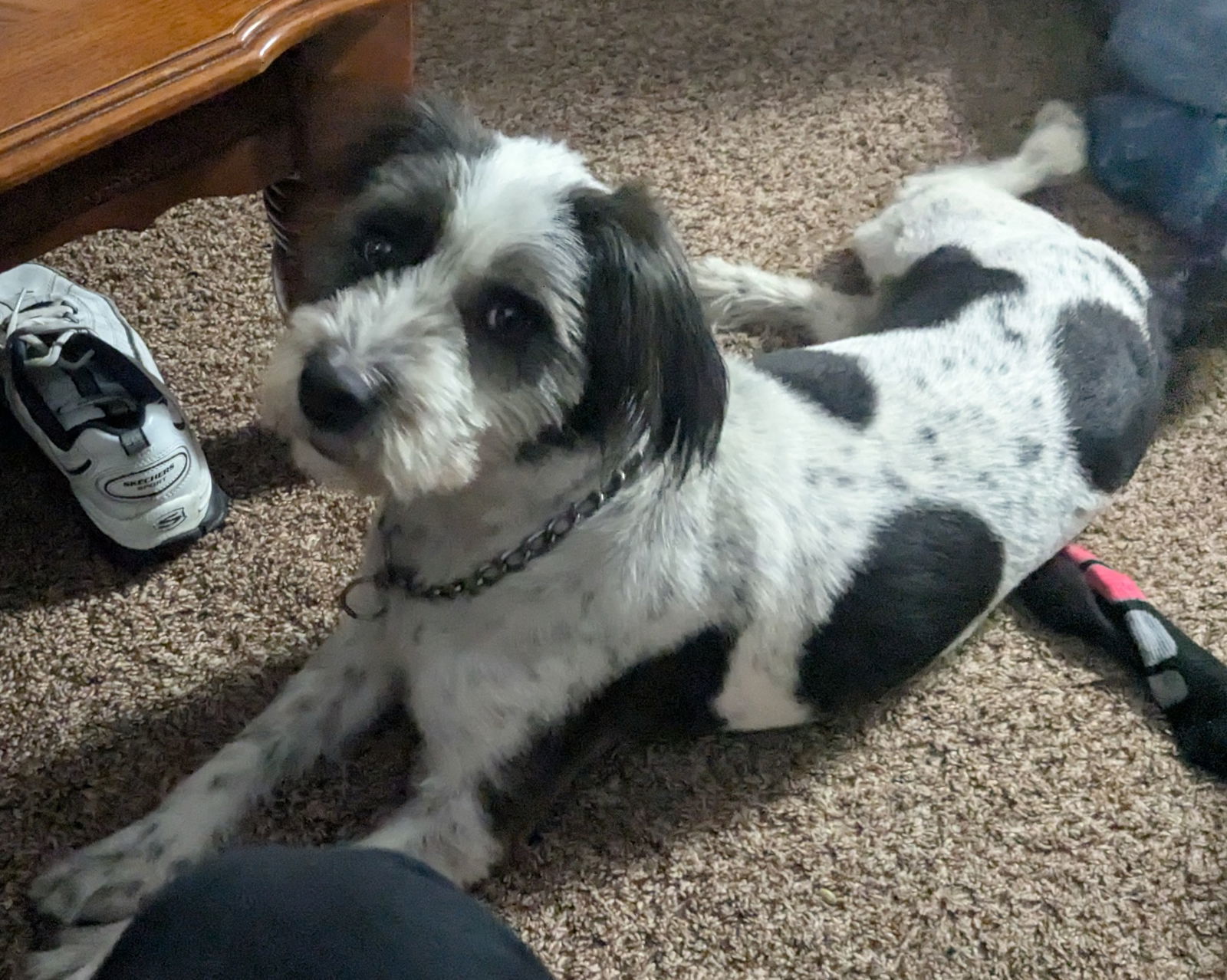 Gabby
