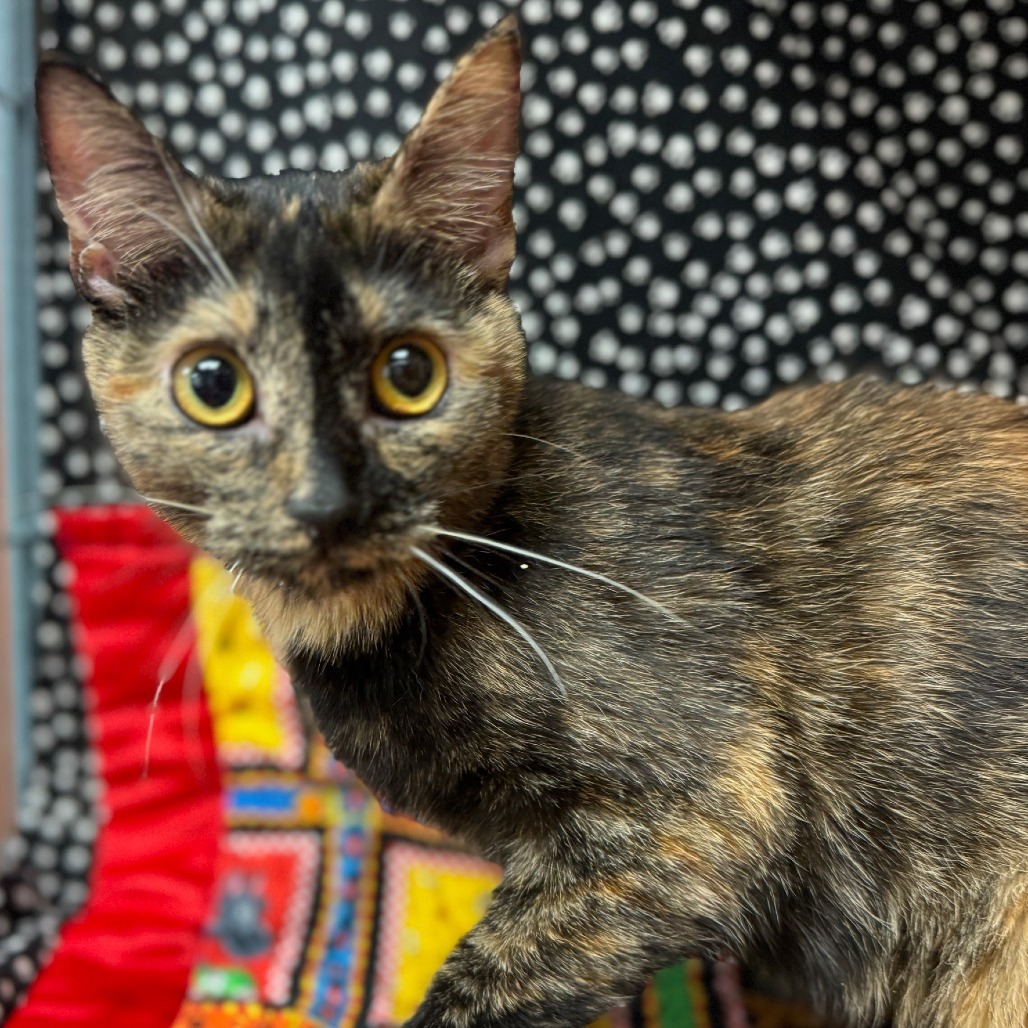 Thelma