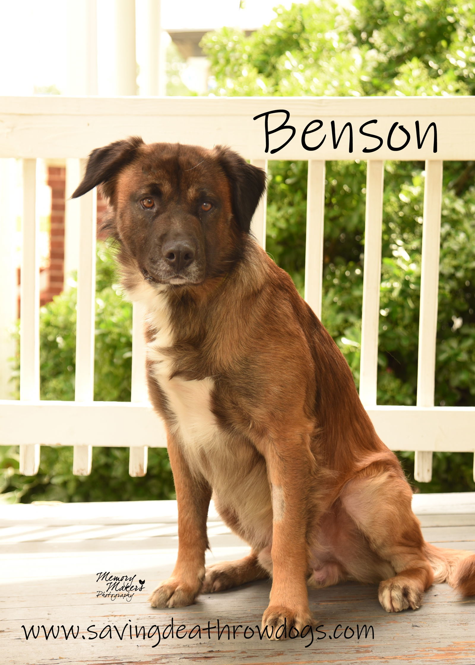Benson