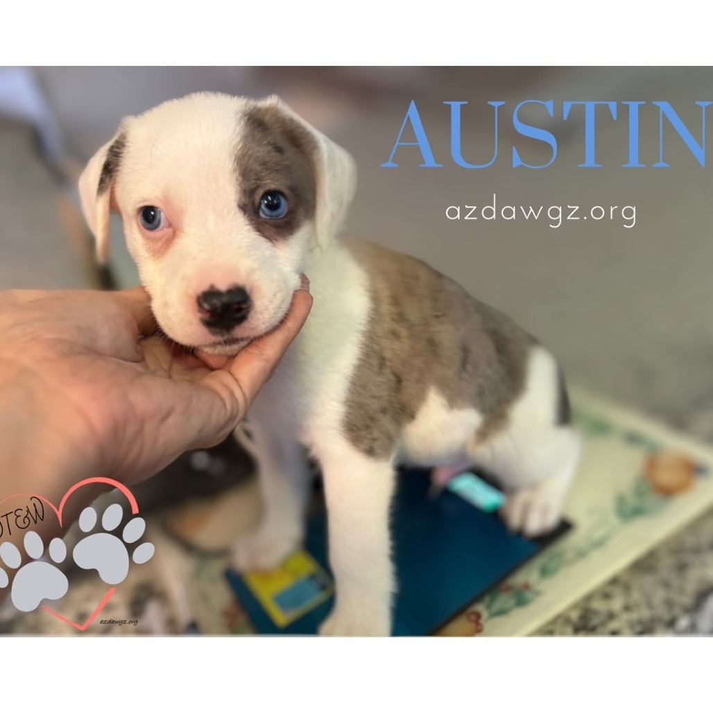 Austin