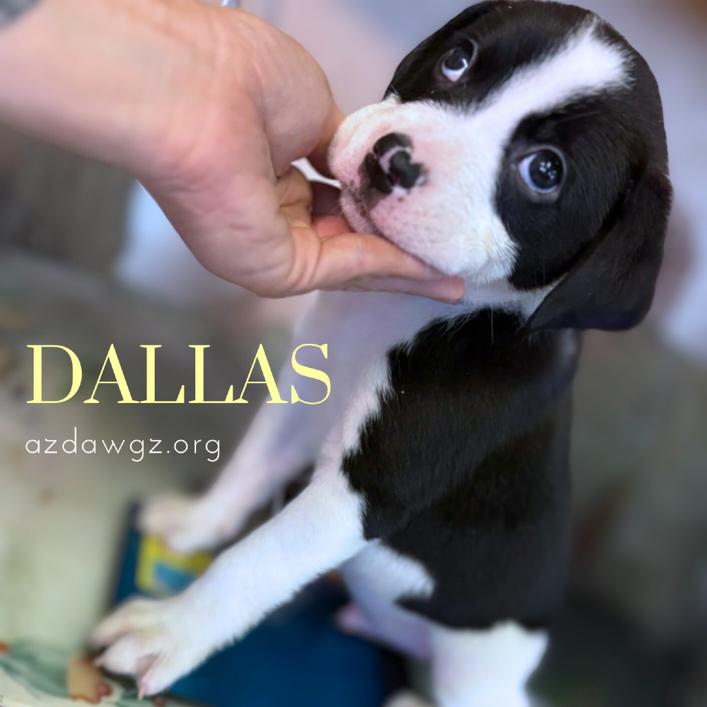 Dallas