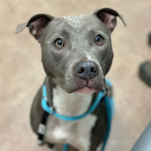 Nyla photo 1