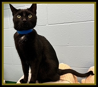 SALEM