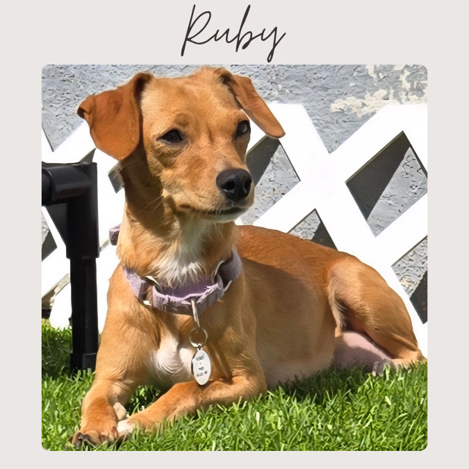 RUBY 1