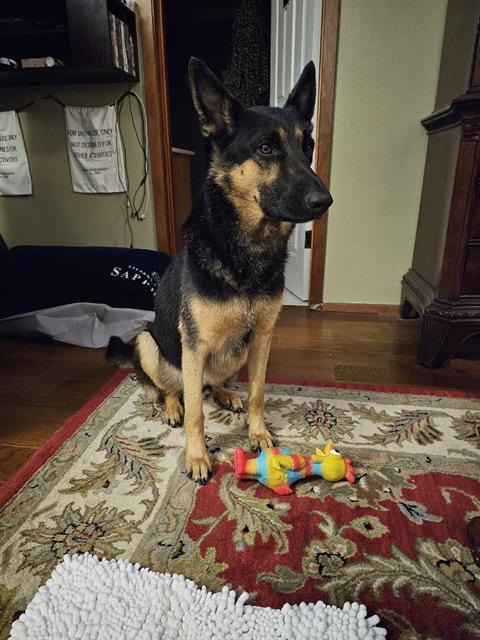REX