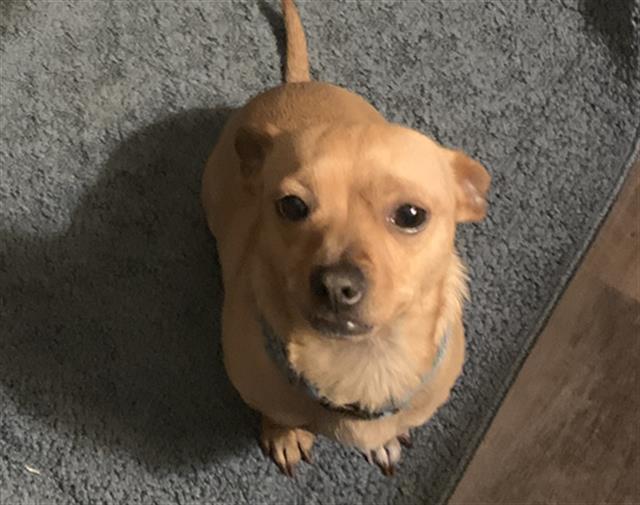 STANLEY