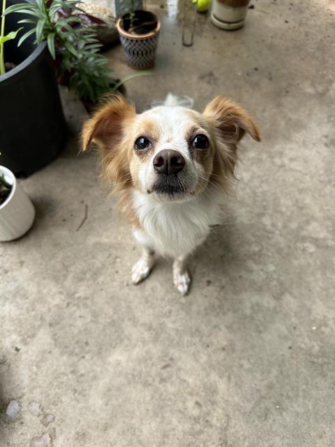 ZEKE