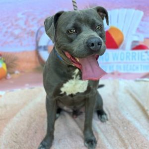 I WAS FOUND AT 3000 BLOCK STUDEBAKER RD LONG BEACH CA IN LONG BEACHMy adoption