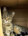 Tiggs photo 3