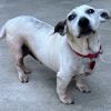 Mabel photo 2