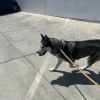 Leona photo 4