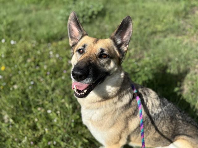 LUNA