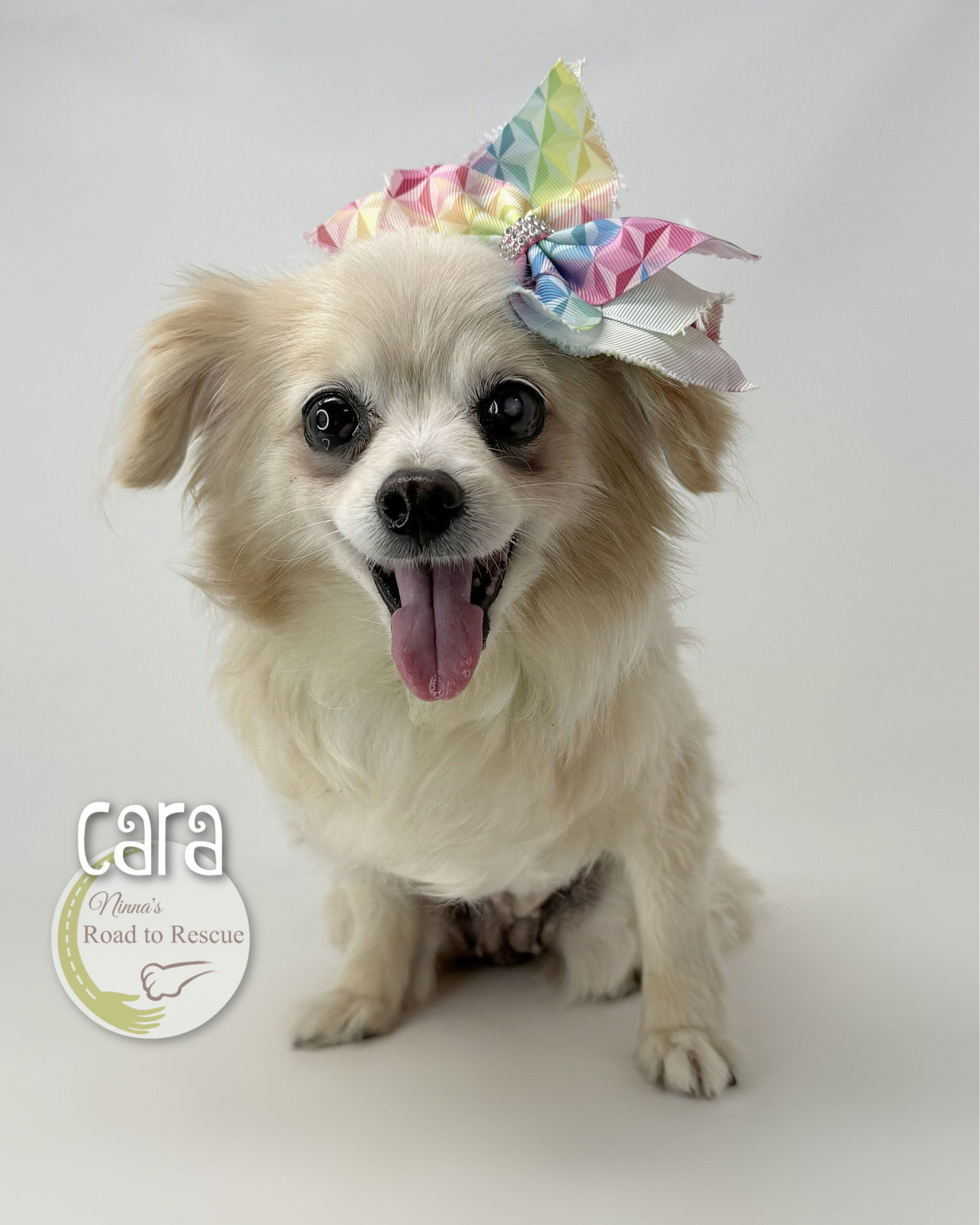 Cara (NOT YET AVAILABLE)