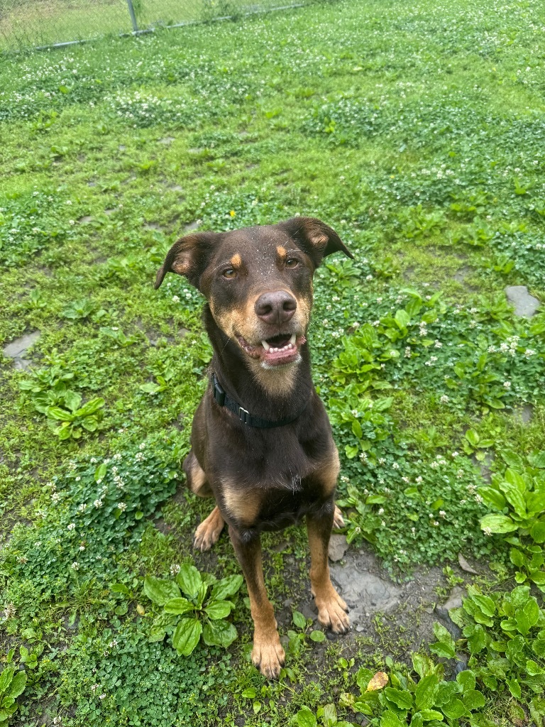 Bernie