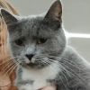 Mable photo 1