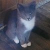 Mable photo 2