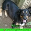 Skye photo 2
