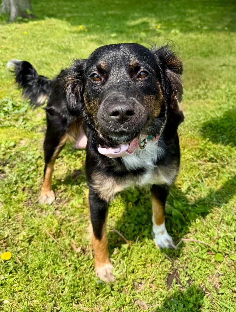 Bonnie