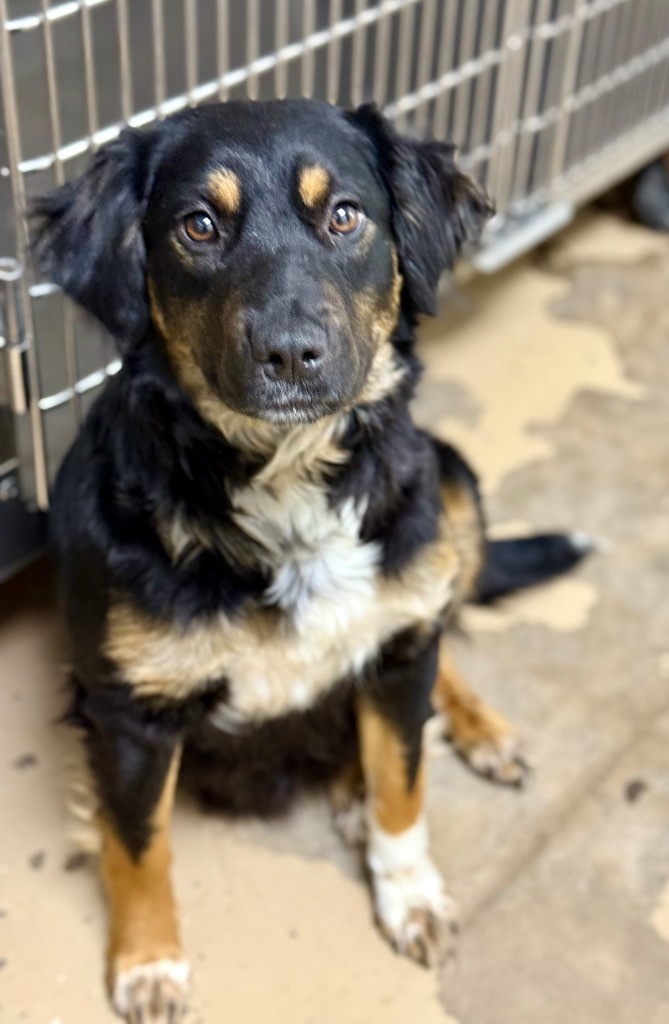 Bonnie