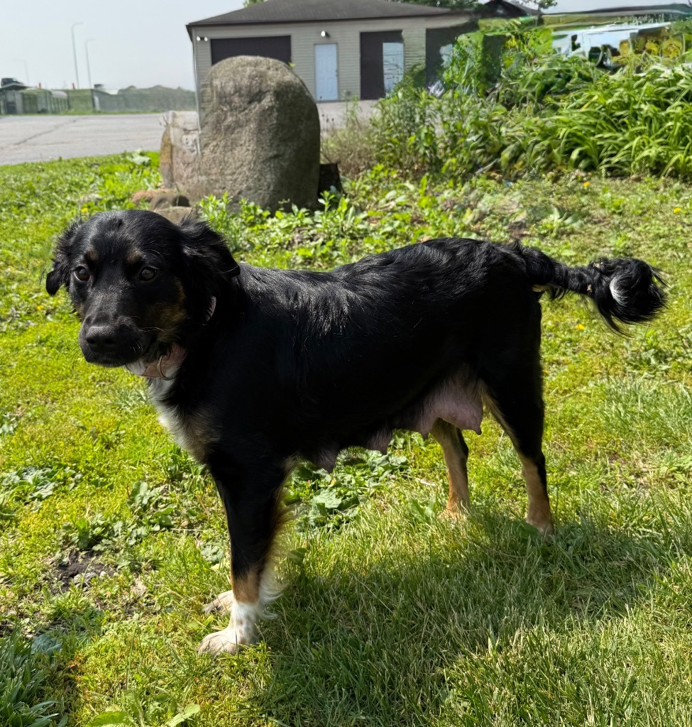 Bonnie