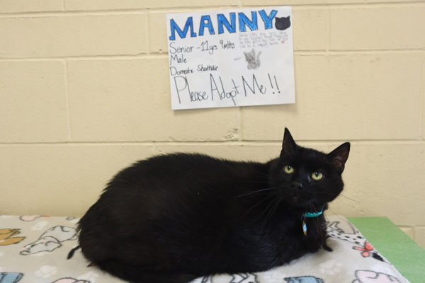 Manny