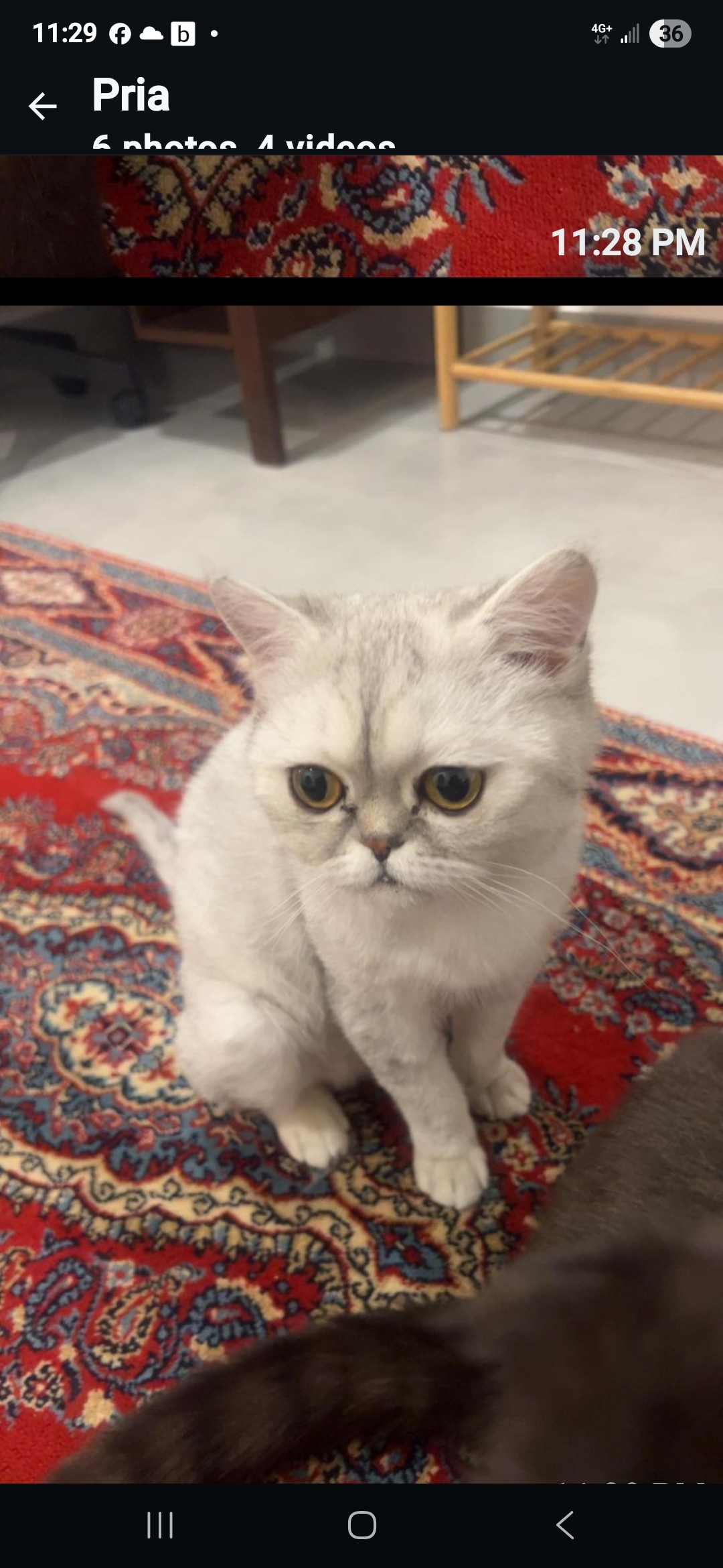 Raneem
