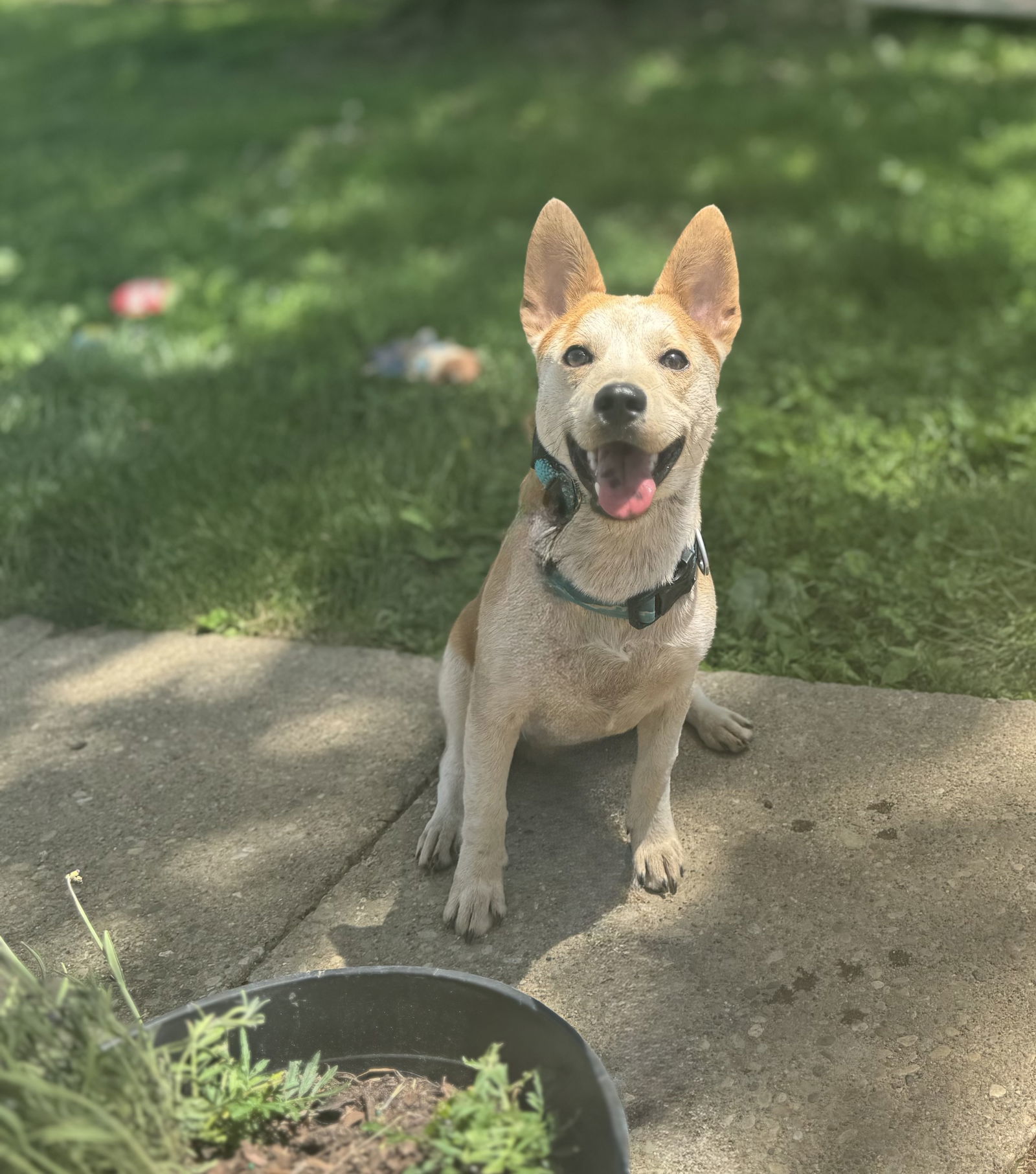 Charlie *I'm always smiling*