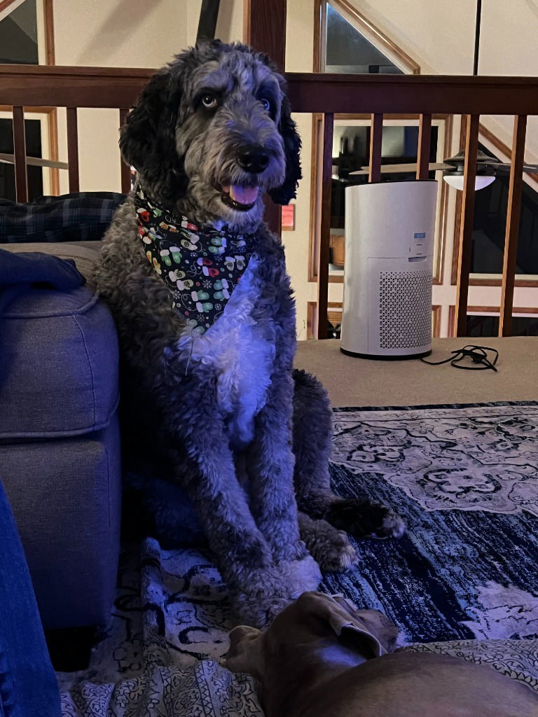 COOPER