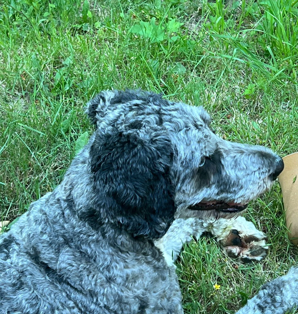 COOPER
