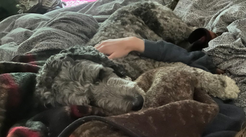 COOPER
