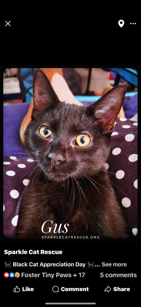 GUS