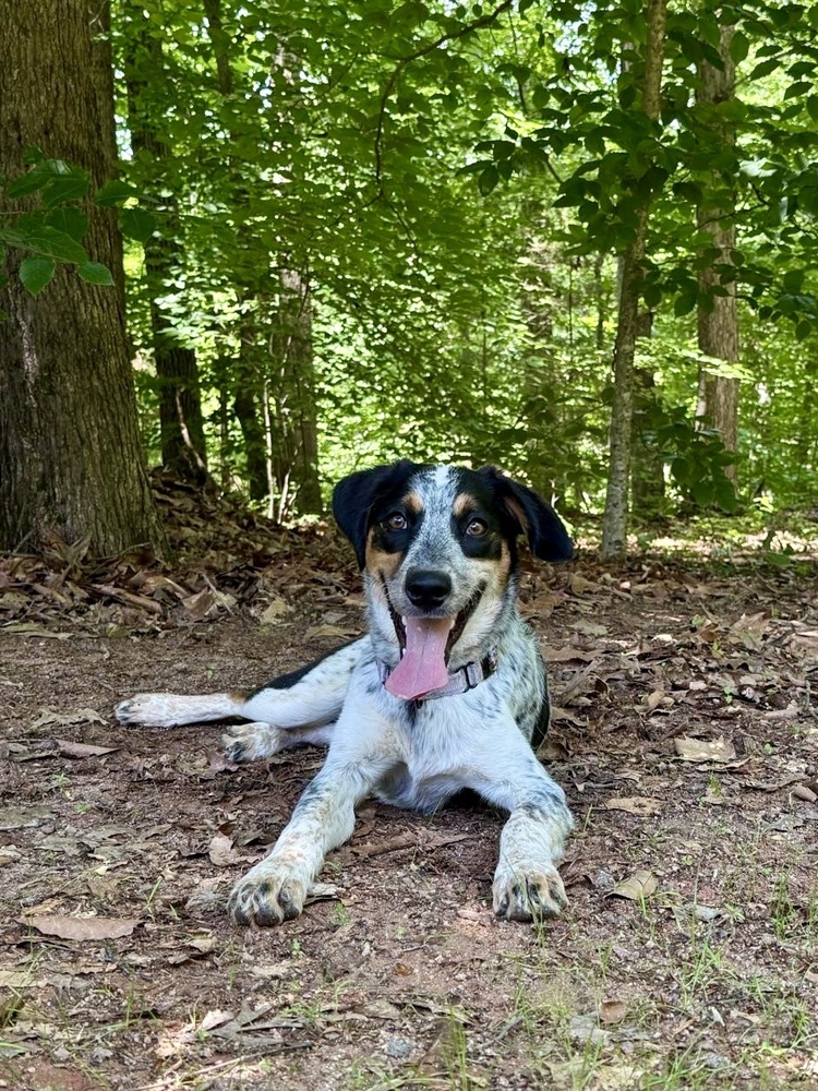 Axle