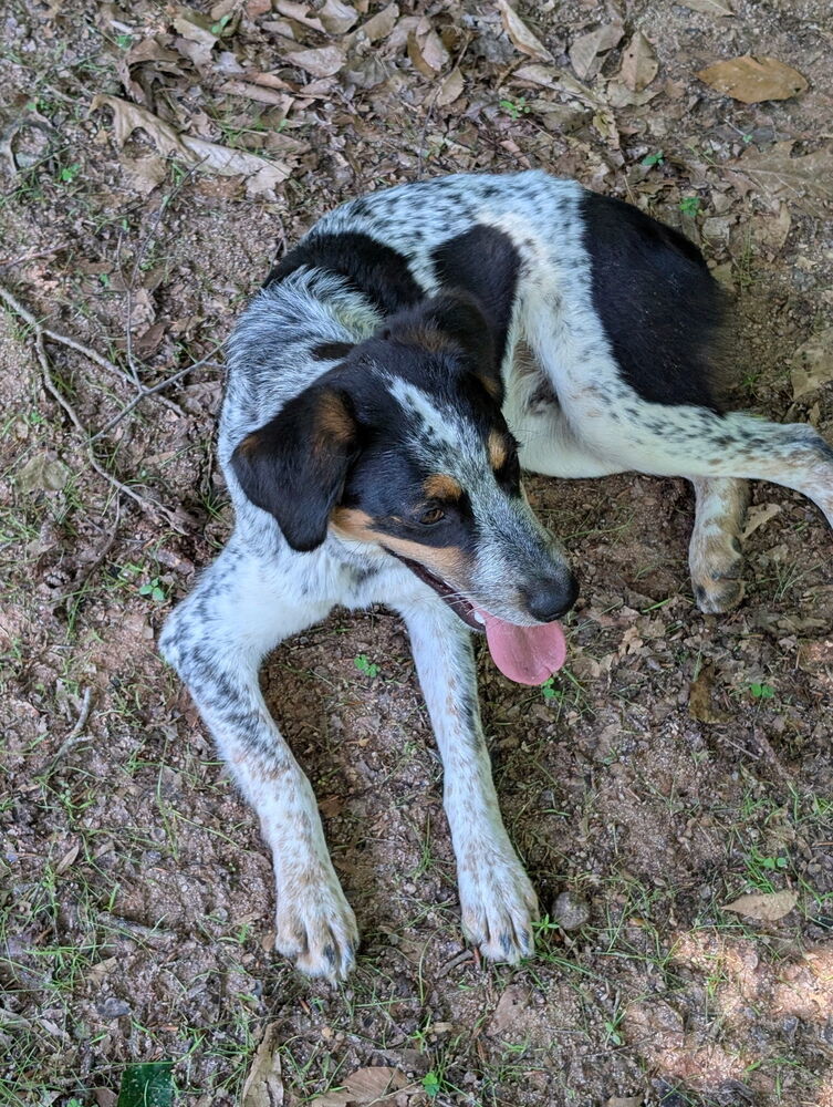 Axle