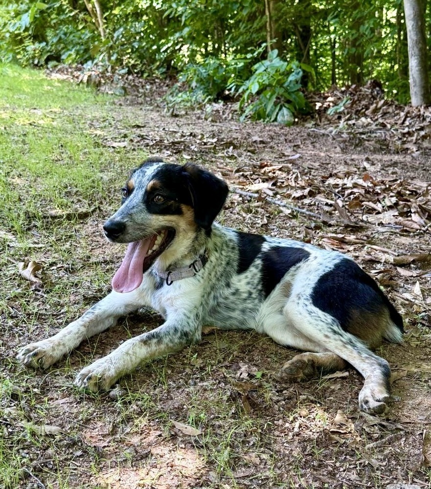 Axle