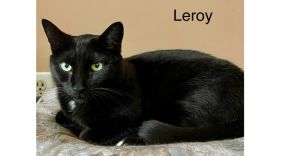 LEROY