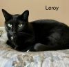 LEROY photo 3