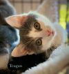 Teagan photo 3