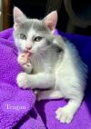 Teagan photo 4