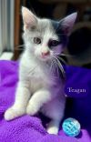 Teagan photo 6
