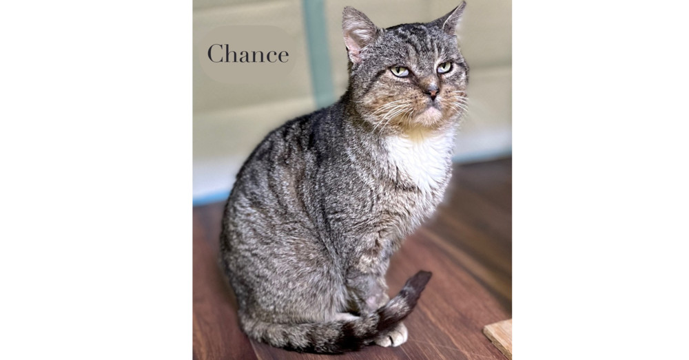 Chance