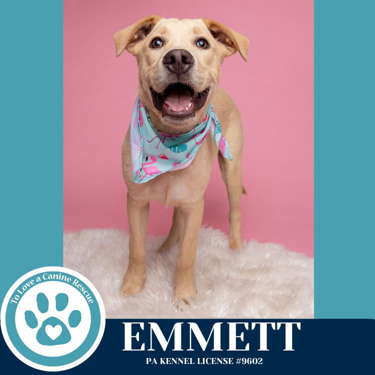 Emmett (The Roadtrippers) 060725