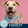 Emmett (The Roadtrippers) 060725 photo 2