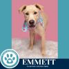Emmett (The Roadtrippers) 060725 photo 3