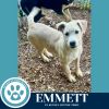 Emmett (The Roadtrippers) 060725 photo 4