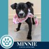 Minnie 060725 photo 2