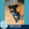 Minnie 060725 photo 3