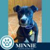 Minnie 060725 photo 4