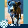 Minnie 060725 photo 5