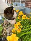 Jiminy photo 2